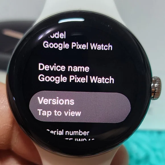 Google Pixel Watch 41mm Polished Silver